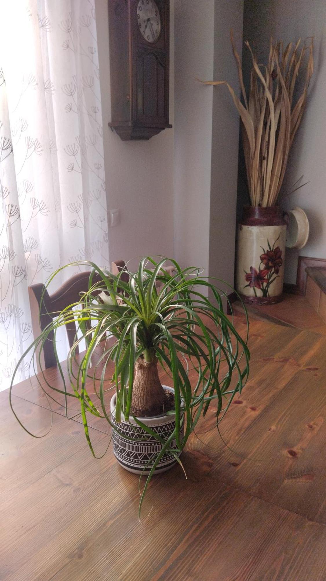 El Balcon De Villapresente Εξωτερικό φωτογραφία